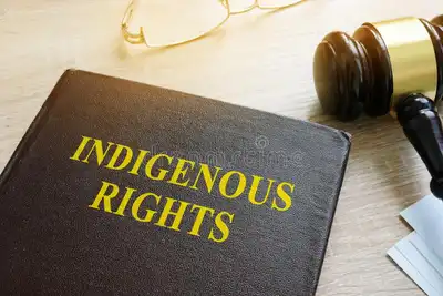 What Is Indigenous Law in South Africa