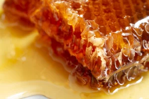 Where To Buy Beeswax In South Africa - Find the Best Products Here
