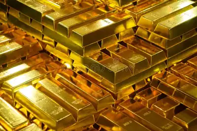 When Was Gold Discovered in South Africa?