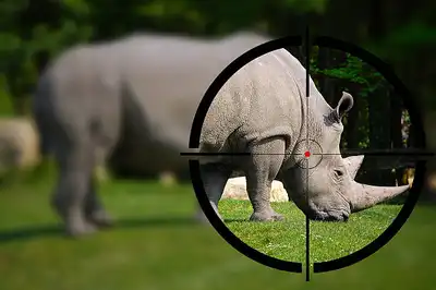 What is Rhino Poaching in South Africa