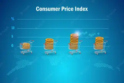 What Is CPI In South Africa?