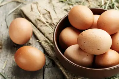Where Can I Sell Eggs in South Africa?