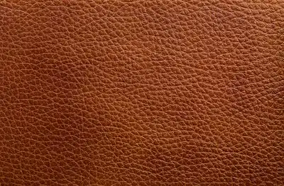 Where To Buy Leather In South Africa