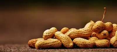 How to Grow Peanuts in South Africa