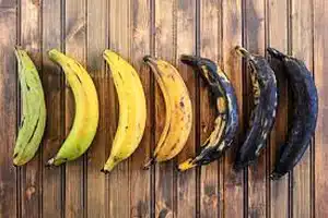 Does Plantain Grow in South Africa?