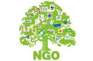 How Do I Start an Ngo in South Africa