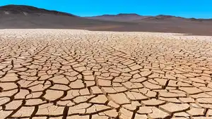 How Can We Reduce Drought in South Africa?